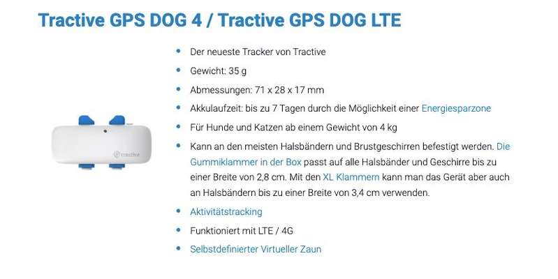 Deine Fragen zum Dogorama Club-Beitrag-Bild