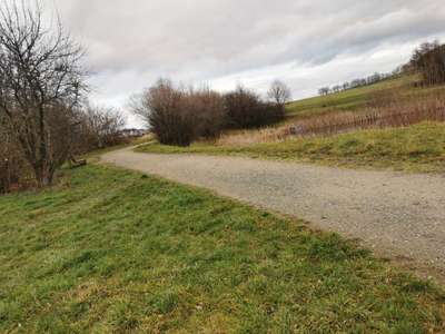 Hundeauslaufgebiet-Besslauerteich-Bild