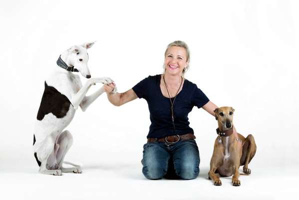 Hundeschulen-Martin Rütter DOGS Bayreuth/Gefrees - Ruth Schönheiter-Bild