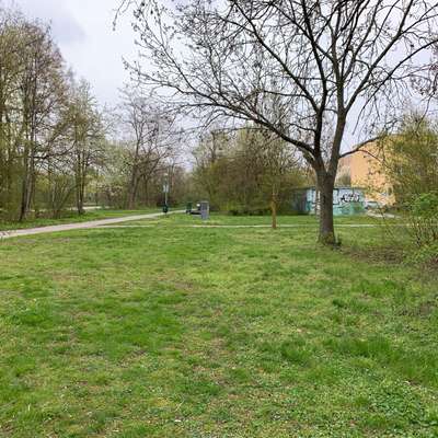 Hundeauslaufgebiet-Lichtenfelser Straße-Bild