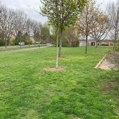 Hundeauslaufgebiet-Probstheidaer Straße-Bild