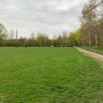 Hundeauslaufgebiet-Ehemaliger Debrahof/Max-Liebermann-Straße-Bild