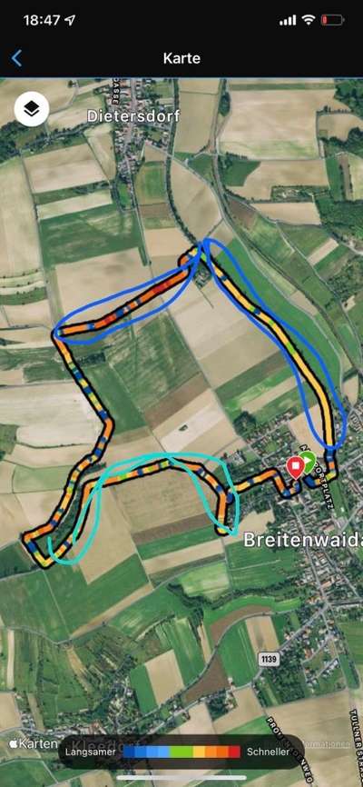 Giftköder-eventuell Giftköder-Bild