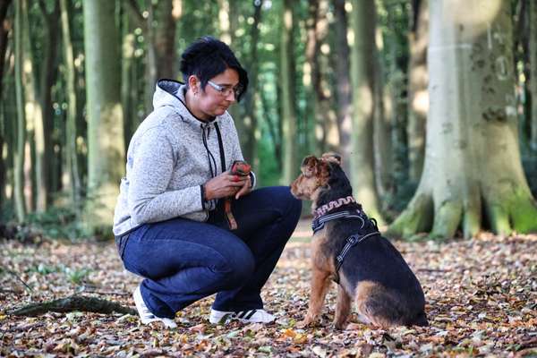 Hundeschulen-Martin Rütter Hundeschule Cuxhaven / Bremerhaven-Bild