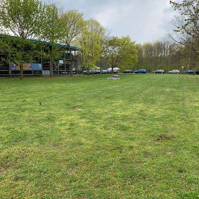 Hundeauslaufgebiet-Straße am Park/Grünauer Allee-Bild