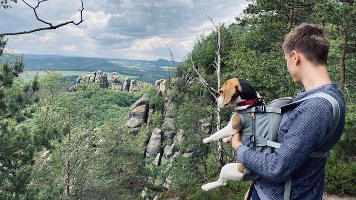 Schöne Hunderunde in der sächsischen Schweiz gesucht-Beitrag-Bild