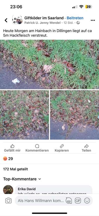 Giftköder-Giftköder-Bild