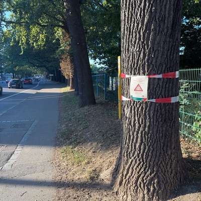 Giftköder-EPS-Bild