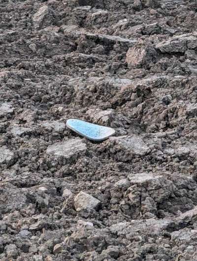 Giftköder-Giftköder-Bild