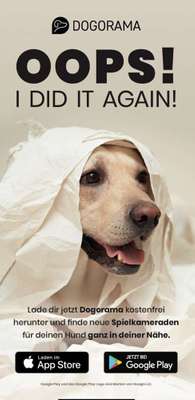 Werbung für Dogorama-Vom Hundefan für Hundefans-Beitrag-Bild