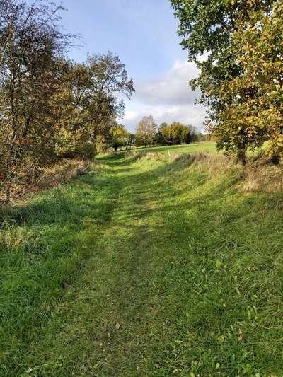 Hundeauslaufgebiet-An der Rreene-Bild