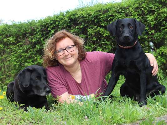 Hundeschulen-Martin Rütter Hundeschule Bad Dürkheim / Ludwigshafen-Bild