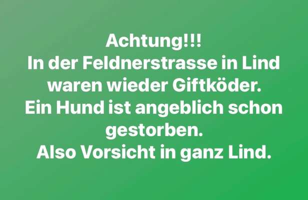 Giftköder-Toter Hund-Bild
