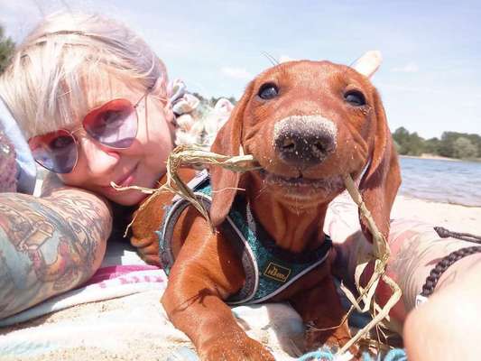 Die Dogorama Wochen Challenge: “Dein Hund im Urlaub”-Beitrag-Bild