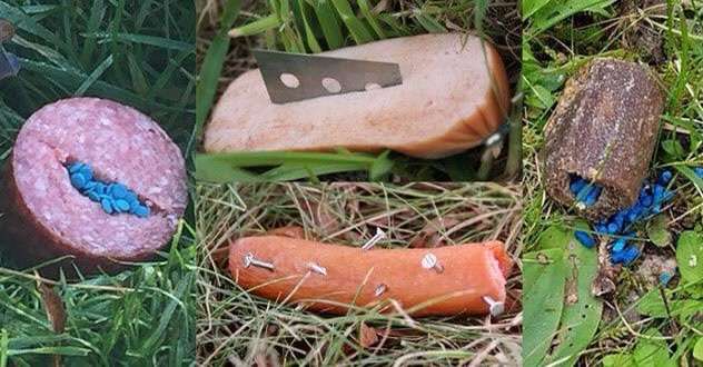 Giftköder-GIFTKÖDERN-Bild