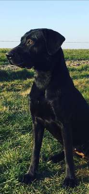 Suchmeldung-Name unbekannt-Bild