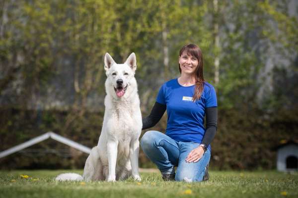 Hundeschulen-Martin Rütter Hundeschule Heidelberg/Mosbach - Ramona Houscht-Bild