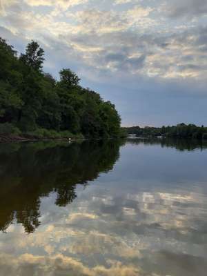 Hundeauslaufgebiet-Moorlake/ Wannsee-Düppel-Bild