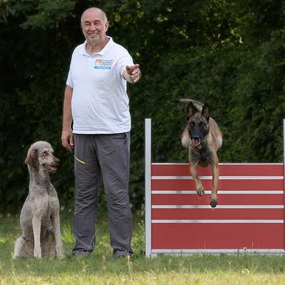 Hundeschulen-Martin Rütter Hundeschule Tulln-Bild