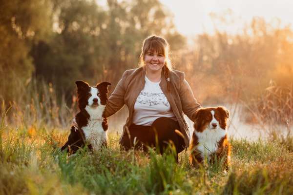 Hundeschulen-Martin Rütter DOGS Recklinghausen/Herten - Stephanie Cramer-Bild