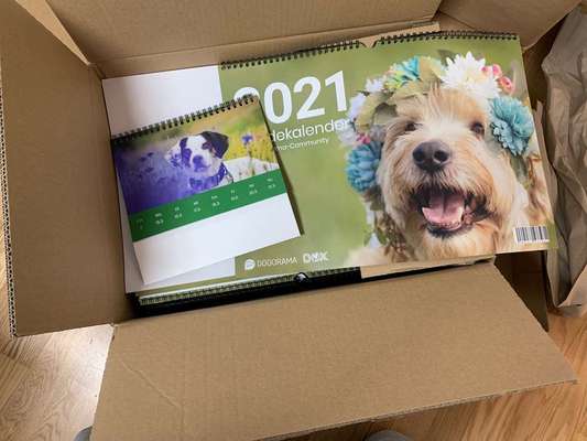 Dein Hund im Dogorama-Kalender 2021-Beitrag-Bild