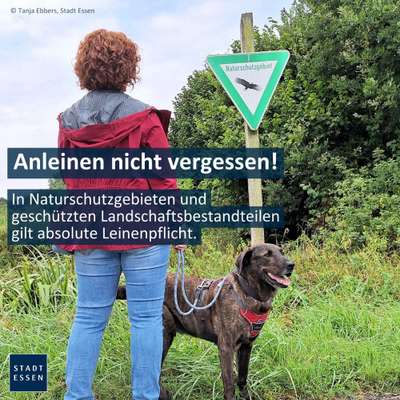 Hundeauslaufgebiet-Mechtenberg-Bild