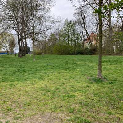 Hundeauslaufgebiet-Zschopauer Straße-Bild