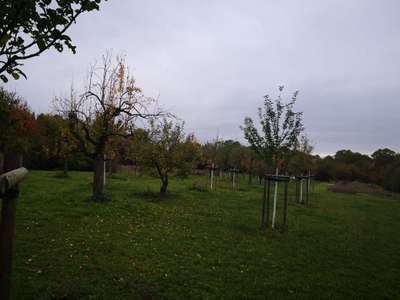 Hundeauslaufgebiet-Kriftel Wasserwerk-Bild