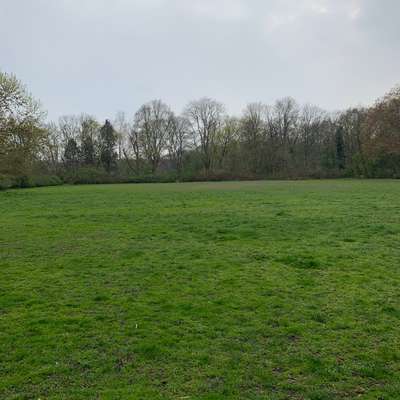 Hundeauslaufgebiet-Mariannenpark-Bild