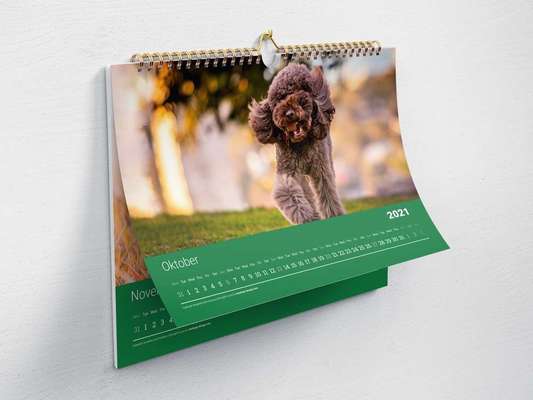 Dein Hund im Dogorama-Kalender 2021-Beitrag-Bild