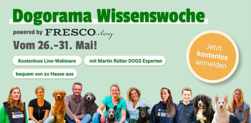 Wissenswoche - Deine Fragen zum Event-Beitrag-Bild