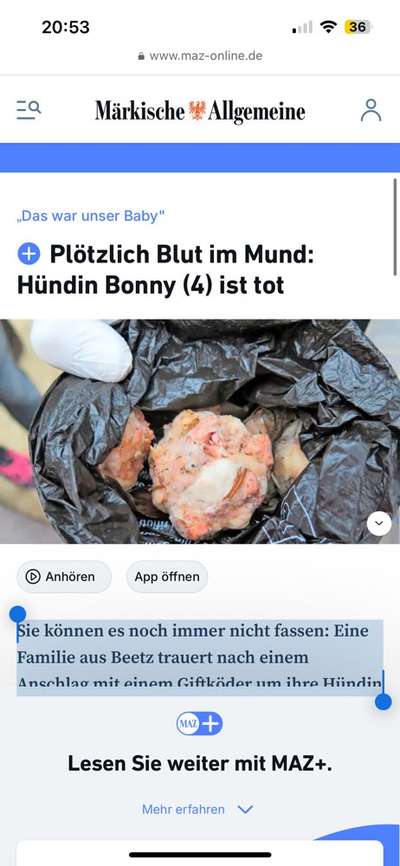 Giftköder-Toter Hund-Bild