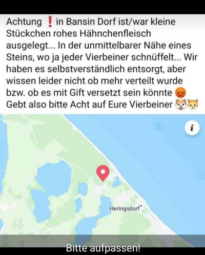 Giftköder-Ausgelegtes Hähnchen-Bild