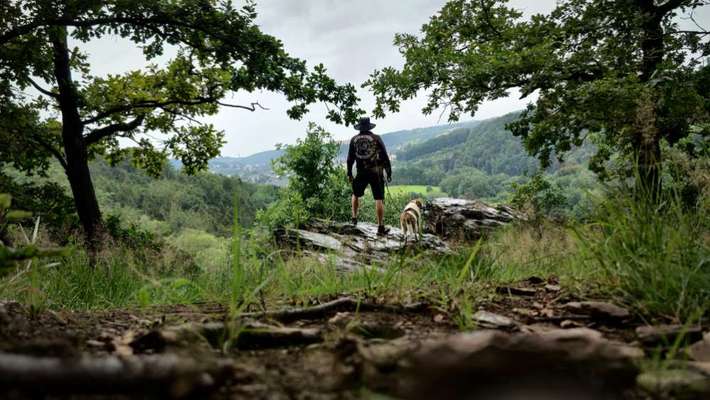 Hundeauslaufgebiet-Zschopau Aue-Bild