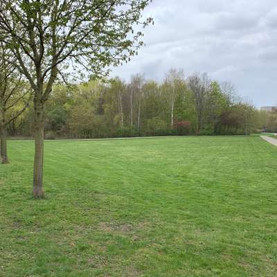 Hundeauslaufgebiet-Park Lößnig-Dölitz, Mitte-Bild