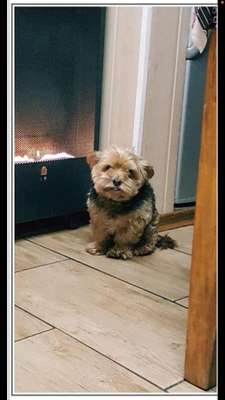 Suchmeldung-Rambo-Bild