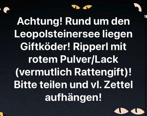 Giftköder-Rattengift-Bild