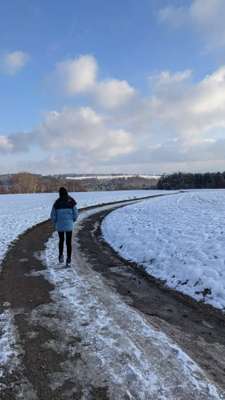 Hundeauslaufgebiet-Felder Hohengehren-Bild