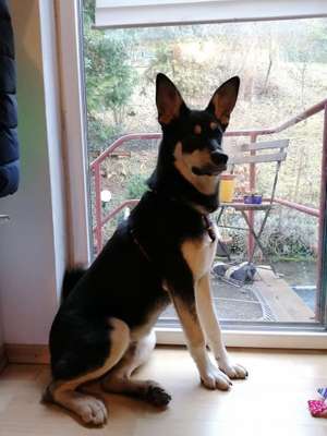 Suchmeldung-Milow-Bild