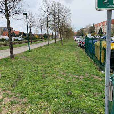 Hundeauslaufgebiet-Südliche Ratzelstraße-Bild