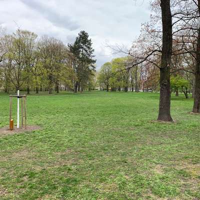 Hundeauslaufgebiet-Wilhelm-Külz-Park-Bild