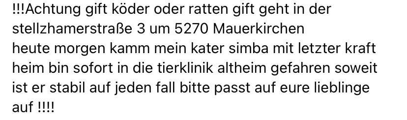 Giftköder-Rattengift-Bild