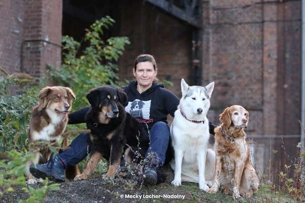 Hundeschulen-Martin Rütter DOGS Dortmund/Lünen - Silke Eichel-Bild