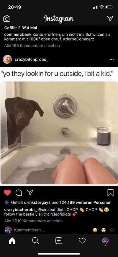 Hunde Memes-Beitrag-Bild