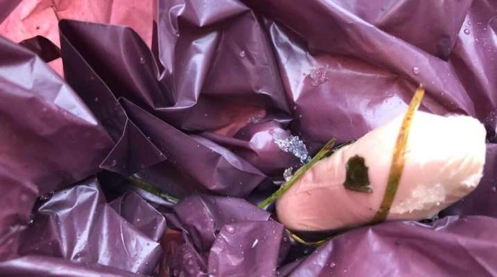 Giftköder-Präparierte Wurst-Bild