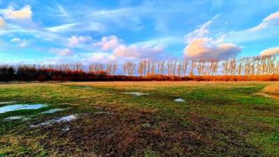 Hundeauslaufgebiet-Hunde Park Auslauf-Bild