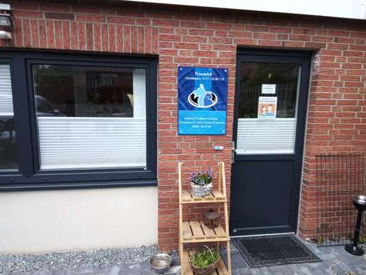 Hundefriseur Salon Traumfell in Parker OT Matzwitz  – Dogorama