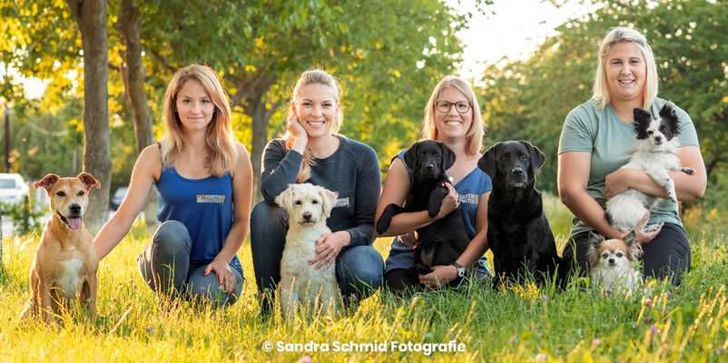 Hundeschulen-Martin Rütter Hundeschule Wien - Conny Sporrer-Bild