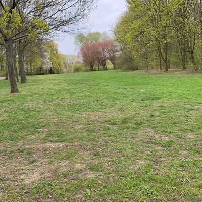 Hundeauslaufgebiet-Park Lößnig-Dölitz, West-Bild