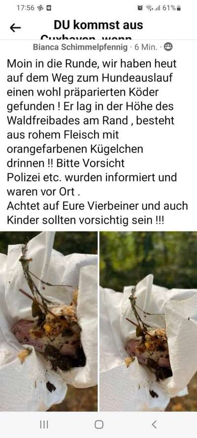 Giftköder-Giftköder-Bild